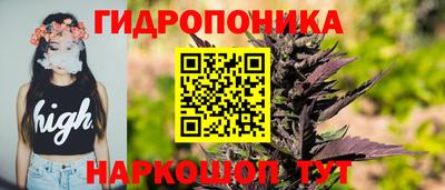 бошки Будённовск
