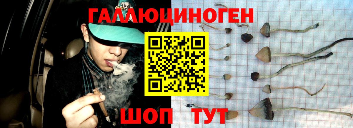 Псилоцибиновые грибы GOLDEN TEACHER  закладка  Краснотурьинск  Галлюциногенные грибы GOLDEN TEACHER  Вход с VPN 