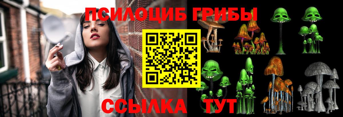 Псилоцибиновые грибы Magic Shrooms Краснотурьинск